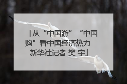 从“中国游”“中国购”看中国经济热力 新华社记者 樊 宇
