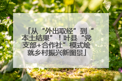 从“外出取经”到“本土结果”！叶县“党支部+合作社”模式绘就乡村振兴新图景
