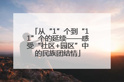 从“1”个到“11”个的延续——感受“社区+园区”中的民族团结情