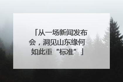 从一场新闻发布会，洞见山东缘何如此重“标准”