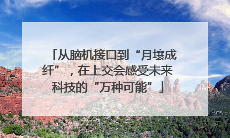 从脑机接口到“月壤成纤”，在上交会感受未来科技的“万种可能”