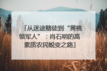从迷途赌徒到“黄桃领军人”：肖石明的高素质农民蜕变之路