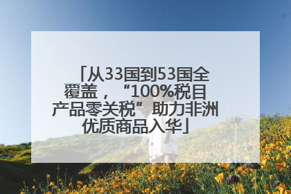 从33国到53国全覆盖，“100%税目产品零关税”助力非洲优质商品入华