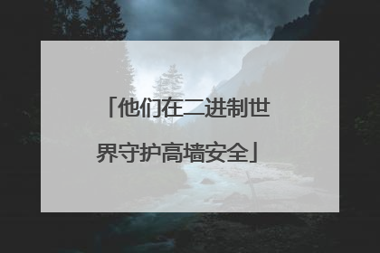 他们在二进制世界守护高墙安全