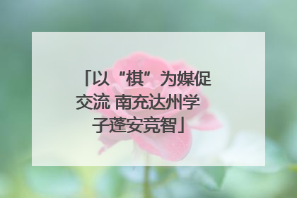 以“棋”为媒促交流 南充达州学子蓬安竞智