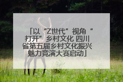 以“Z世代”视角“打开”乡村文化 四川省第五届乡村文化振兴魅力竞演大赛启动