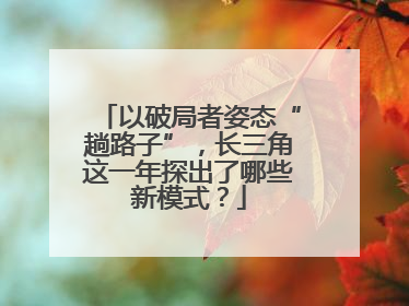 以破局者姿态“趟路子”，长三角这一年探出了哪些新模式？