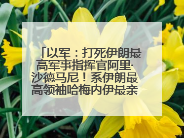以军：打死伊朗最高军事指挥官阿里·沙德马尼！系伊朗最高领袖哈梅内伊最亲密的人之一