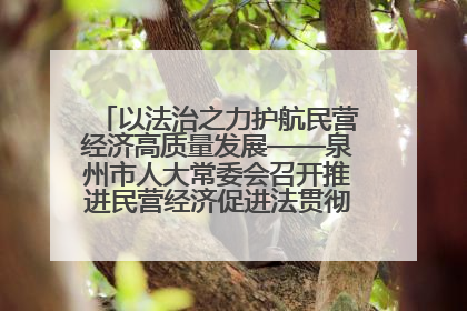 以法治之力护航民营经济高质量发展——泉州市人大常委会召开推进民营经济促进法贯彻实施座谈会