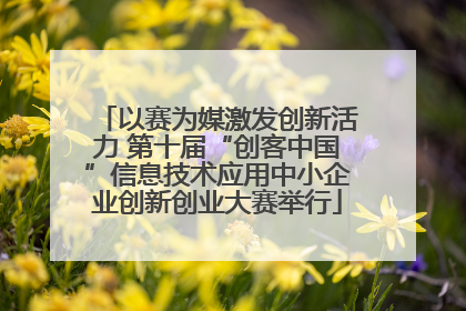 以赛为媒激发创新活力 第十届“创客中国”信息技术应用中小企业创新创业大赛举行