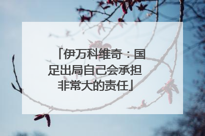 伊万科维奇：国足出局自己会承担非常大的责任