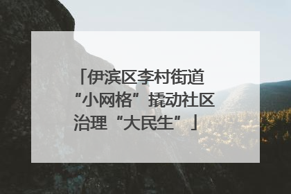 伊滨区李村街道 “小网格”撬动社区治理“大民生”