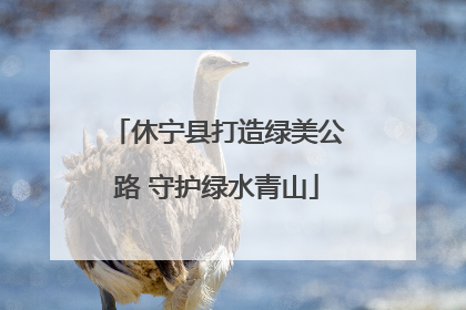 休宁县打造绿美公路 守护绿水青山