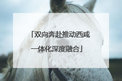 双向奔赴推动西咸一体化深度融合