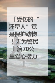 受伤的“汪星人”竟是保护动物！无为警民上演70公里爱心接力