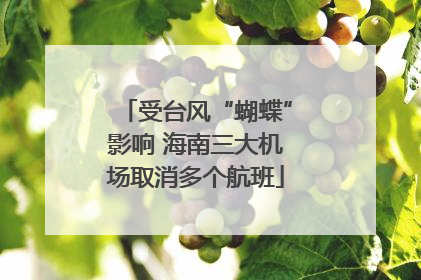 受台风“蝴蝶”影响 海南三大机场取消多个航班