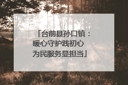 台前县孙口镇：暖心守护践初心 为民服务显担当