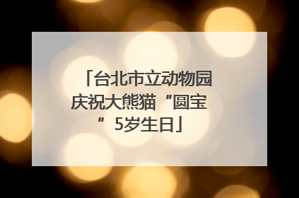台北市立动物园庆祝大熊猫“圆宝”5岁生日