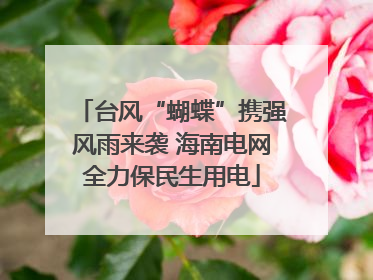 台风“蝴蝶”携强风雨来袭 海南电网全力保民生用电