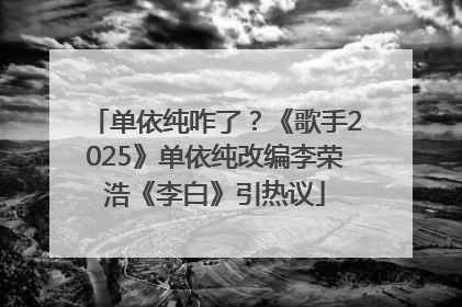 单依纯咋了？《歌手2025》单依纯改编李荣浩《李白》引热议