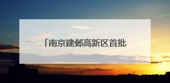 南京建邺高新区首批信创消费券兑现！第二批申报即将启动