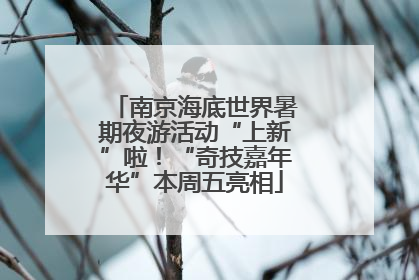 南京海底世界暑期夜游活动“上新”啦！“奇技嘉年华”本周五亮相