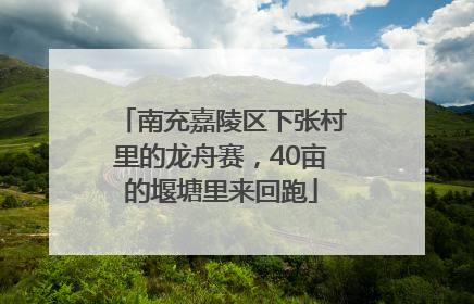 南充嘉陵区下张村里的龙舟赛，40亩的堰塘里来回跑