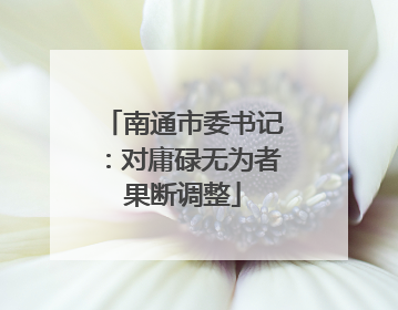 南通市委书记：对庸碌无为者果断调整