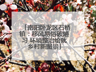 南阳卧龙区石桥镇：移风易俗破陋习 环境整治绘就乡村新图景