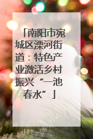 南阳市宛城区溧河街道：特色产业激活乡村振兴“一池春水”