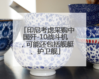 印尼考虑采购中国歼-10战斗机，可能还包括舰艇、护卫舰