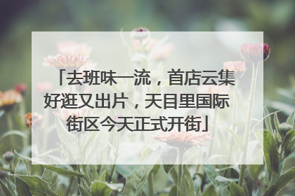 去班味一流，首店云集好逛又出片，天目里国际街区今天正式开街