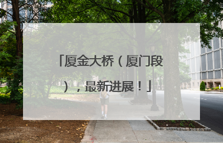 厦金大桥（厦门段），最新进展！