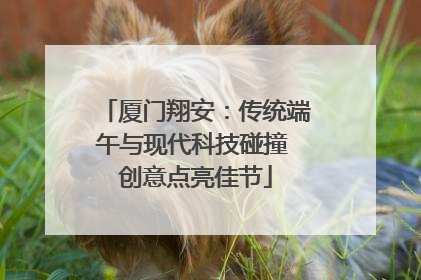 厦门翔安：传统端午与现代科技碰撞 创意点亮佳节