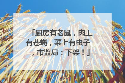 厨房有老鼠，肉上有苍蝇，菜上有虫子，市监局：下架！