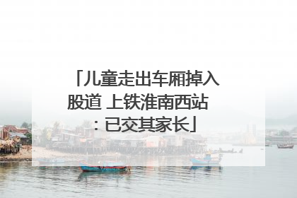 儿童走出车厢掉入股道 上铁淮南西站：已交其家长