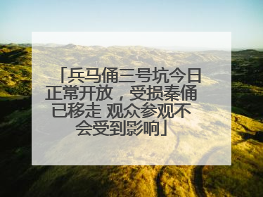 兵马俑三号坑今日正常开放，受损秦俑已移走 观众参观不会受到影响