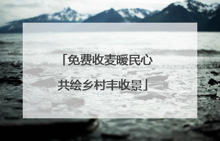 免费收麦暖民心 共绘乡村丰收景