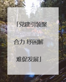 党建引领聚合力 纾困解难促发展