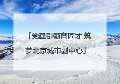党建引领育匠才 筑梦北京城市副中心