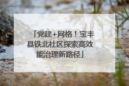 党建+网格！宝丰县铁北社区探索高效能治理新路径