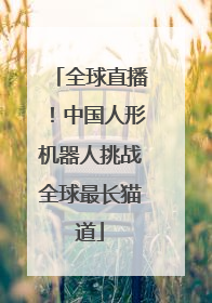全球直播！中国人形机器人挑战全球最长猫道