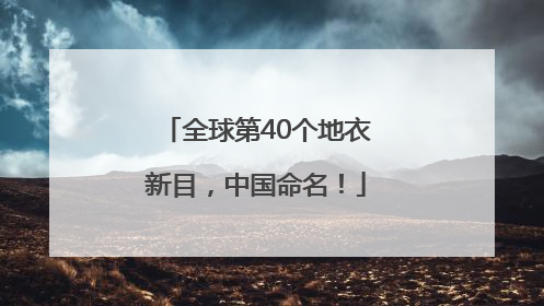全球第40个地衣新目，中国命名！