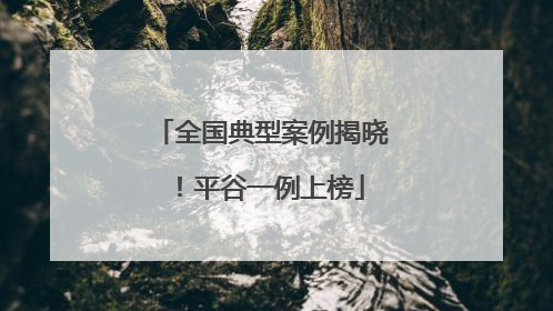 全国典型案例揭晓！平谷一例上榜