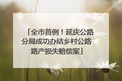 全市首例！延庆公路分局成功办结乡村公路路产损失赔偿案