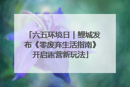 六五环境日｜鲤城发布《零废弃生活指南》开启露营新玩法