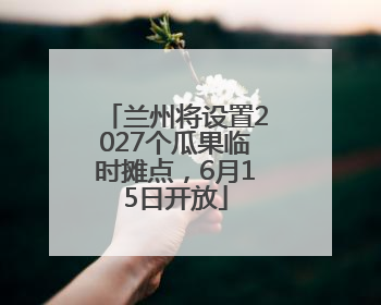 兰州将设置2027个瓜果临时摊点，6月15日开放
