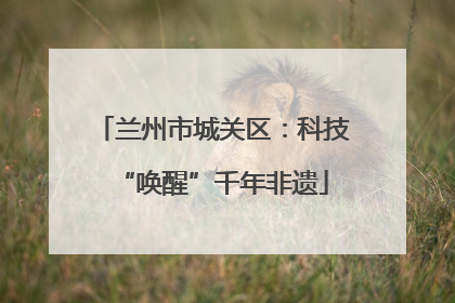 兰州市城关区：科技“唤醒”千年非遗