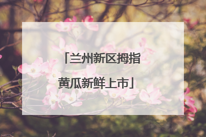 兰州新区拇指黄瓜新鲜上市