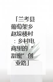 兰考县葡萄架乡赵垛楼村：乡村电商里的“甜蜜”创业路